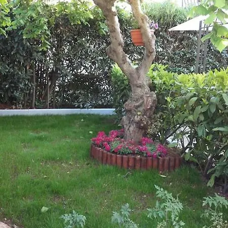Tia Rovinj